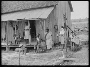 hammer and hoe alabama communists during the great depression
