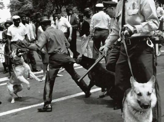 Police dogs attacking protesters and spectators